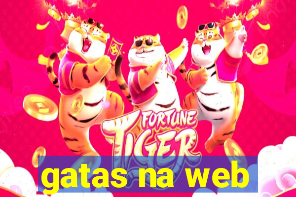 gatas na web